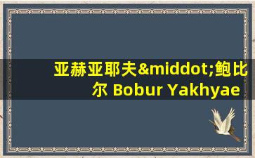 亚赫亚耶夫·鲍比尔 Bobur Yakhyaev